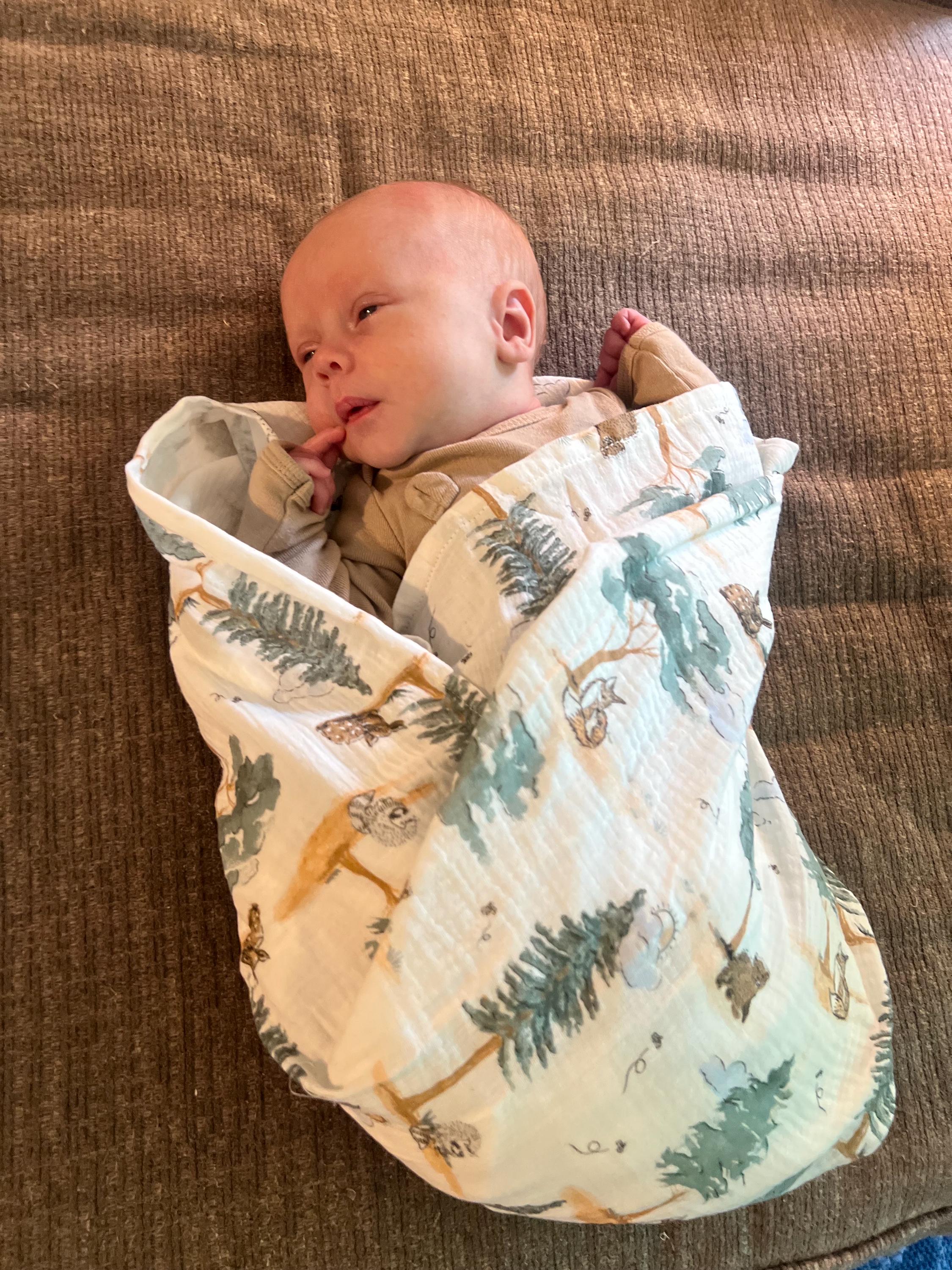 Baby swaddle muslin gauze Blanket extra large 41” size with matching burp cloth, baby gift set, woodland, sage vines, solid boho colors